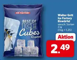 Combi Walter Gott Ice Factory Eiswürfel Angebot