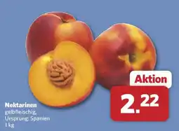 Combi Nektarinen gelbfleischig Angebot