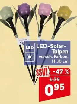 CENTERSHOP LED-Solar-Tulpen Angebot