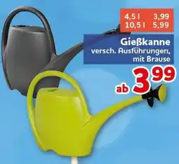 CENTERSHOP Gießkanne Angebot