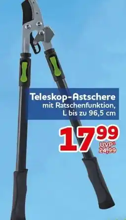 CENTERSHOP Teleskop-Atschere Angebot