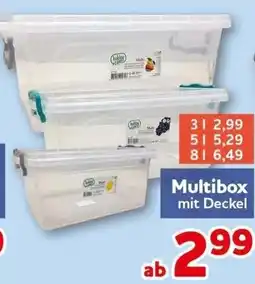 CENTERSHOP Multibox mit Deckel Angebot