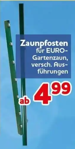 CENTERSHOP Zaunpfosten für EURO-Gartenzaun Angebot