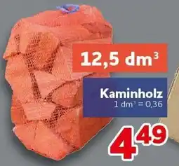 CENTERSHOP Kaminholz Angebot