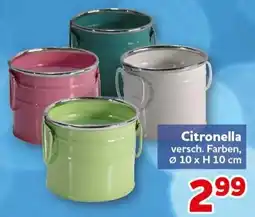 CENTERSHOP Citronella Angebot