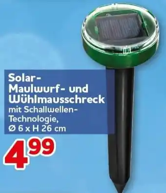 CENTERSHOP Solar-Maulwurf- und Wühlmausschreck Angebot