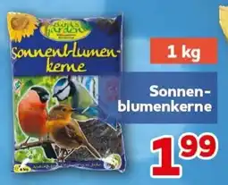 CENTERSHOP Sonnenblumenkerne Angebot