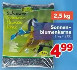 CENTERSHOP Schwarze Sonnenblumenkerne Angebot