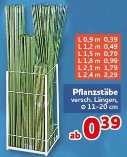 CENTERSHOP Pflanzstäbe Angebot