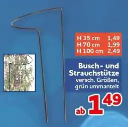 CENTERSHOP Busch- und Strauchstütze Angebot