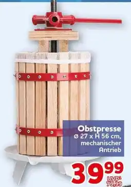 CENTERSHOP Obstpresse Angebot