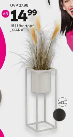 Mömax Übertopf "KIARA" Angebot
