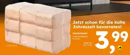 Globus Baumarkt Holzbriketts Angebot