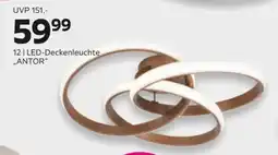 Mömax LED-Deckenleuchte „ANTOR" Angebot