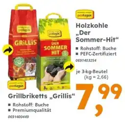 Globus Baumarkt Grillbriketts „Grillis“ Angebot