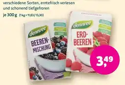 Biomarkt dennree Erd-Beeren Angebot