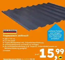 Globus Baumarkt Trapezblech anthrazit Angebot
