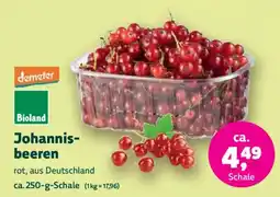 Biomarkt demeter Bioland Johannisbeeren Angebot