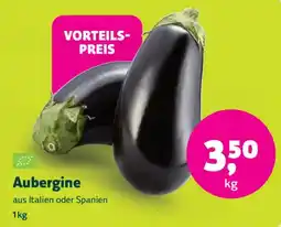 Biomarkt Aubergine Angebot