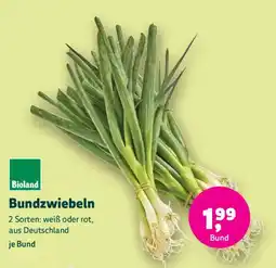 Biomarkt Bioland Bundzwiebeln Angebot