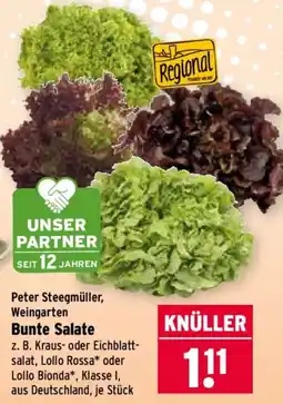 Wasgau Bunte Salate Angebot