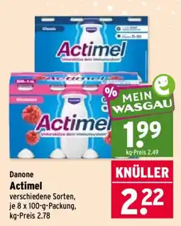 Wasgau Danone Actimel Angebot