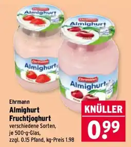 Wasgau Ehrmann Almighurt Fruchtjoghurt Angebot