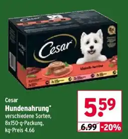 Wasgau Cesar Hundenahrung Angebot