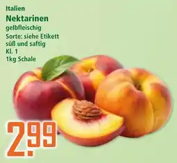 Klaas und Kock Nektarinen Angebot