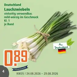 Klaas und Kock Lauchzwiebeln Angebot