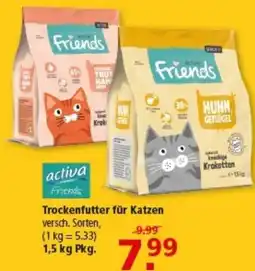 Multi Markt Trockenfutter für Katzen Angebot