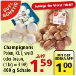 Multi Markt Champignons Polen, Kl. I, weiß oder braun Angebot