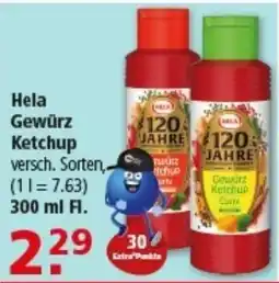 Multi Markt Hela Gewürz Ketchup Angebot