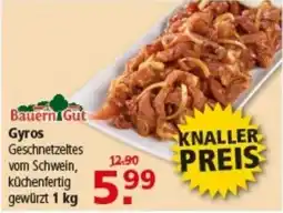 Multi Markt BauernGut Gyros Angebot