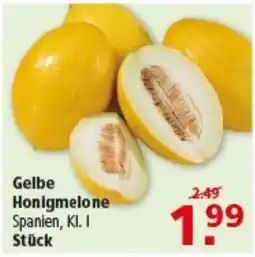 Multi Markt Gelbe Honigmelone Angebot