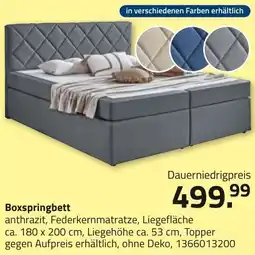ROLLER Boxspringbett anthrazit Angebot