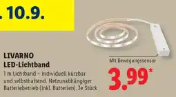 Lidl LIVARNO LED-Lichtband Angebot