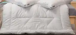 Lidl DUNLOPILLO Ganzjahres-Bettdecke Angebot