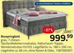 ROLLER Boxspringbett grau Angebot