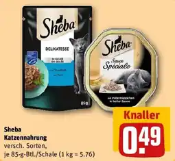 REWE Sheba Katzenfutter Angebot