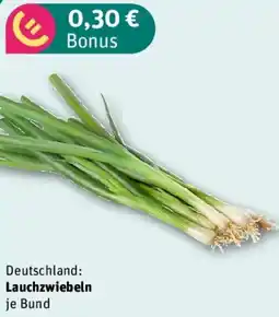 REWE Lauchzwiebeln Angebot