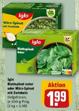 REWE Iglo Blattspinat natur oder Würz-Spinat mit Zwiebeln Angebot