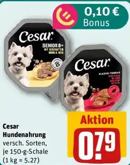 REWE Cesar Hundennahrung Angebot
