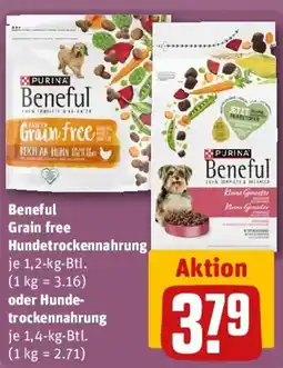 REWE Purina Beneful Hundetrockennahrung oder Hundetrockennahrung Angebot