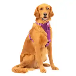 Netto Marken-Discount Kurgo Tru-Fit Autosicherheitsgeschirr für Hunde, Größe XL, Lila Angebot