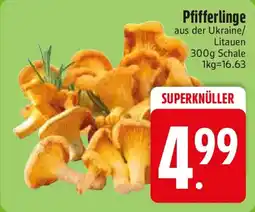 Edeka Pfifferlinge Angebot