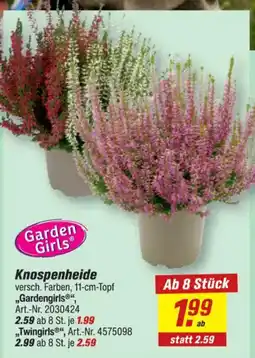 toom Baumarkt Knospenheide Garden Girls® Angebot