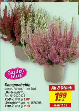 toom Baumarkt Garden Girls Knospenheide Angebot
