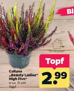 Netto Calluna „Beauty Ladies“ High Five* Angebot
