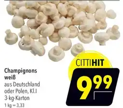 CITTI Markt Champignons weiß Angebot